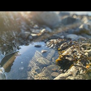 Meet your Posher, Lucas